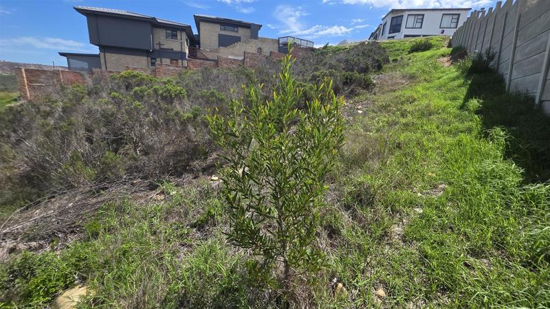 0 Bedroom Property for Sale in Seemeeu Park Western Cape